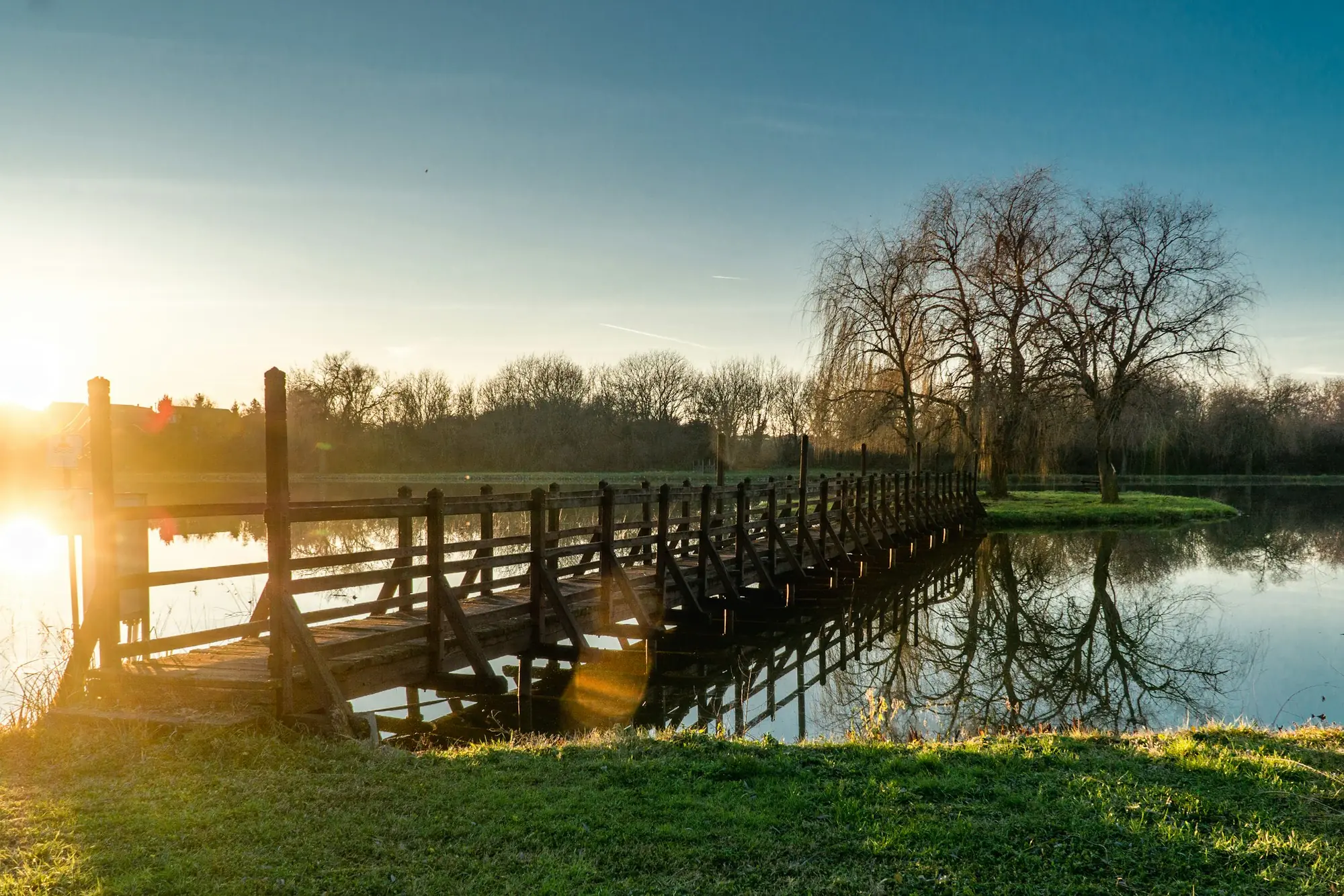 A wooden dock reaching into still water as the sun goes down behind bare trees