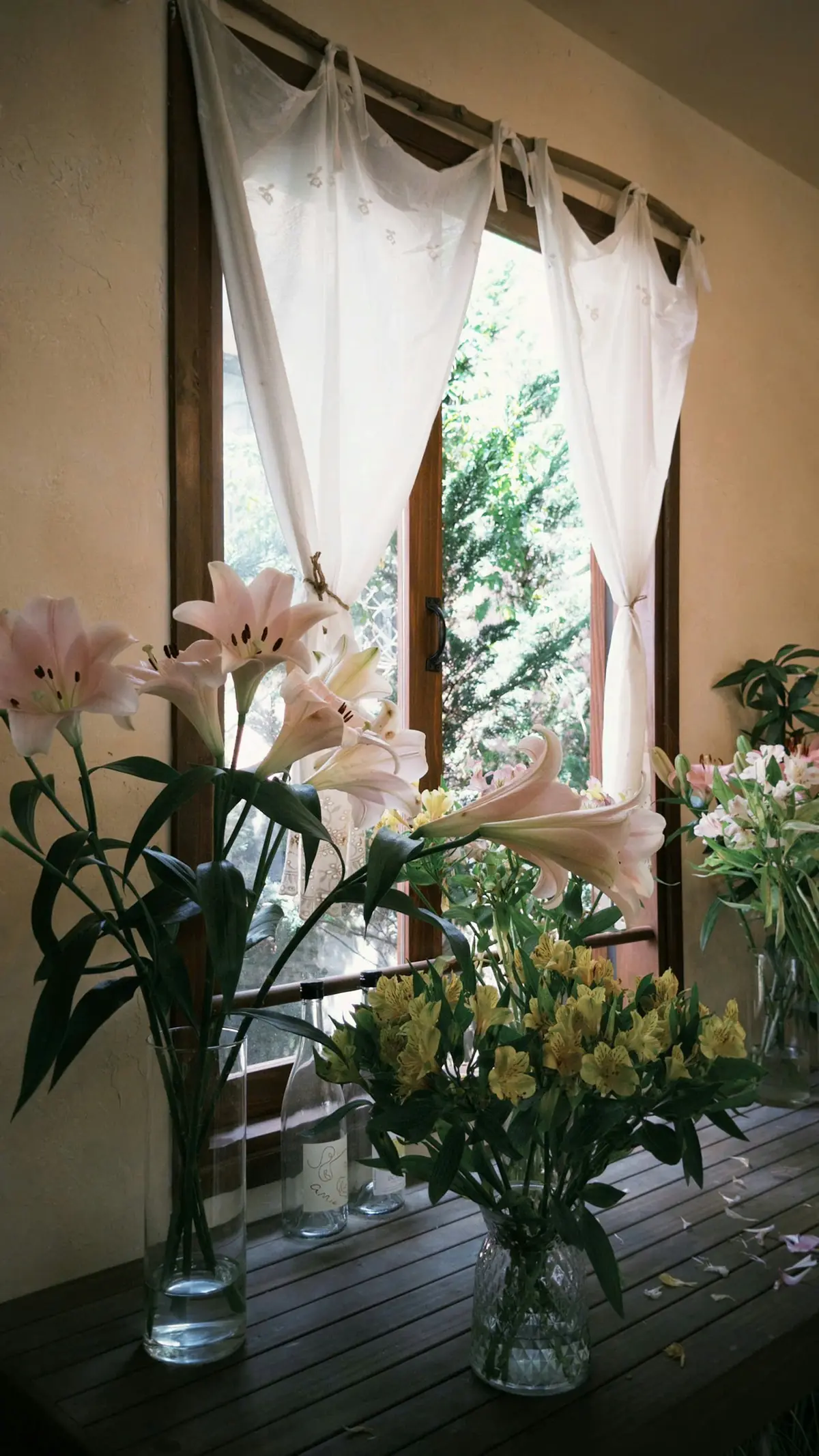 Lilies in glass vases on a wooden table by a bright window
